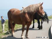 ���������I