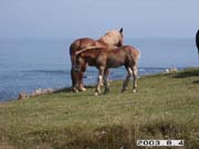 ���Y���n