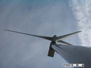 ���グ����B