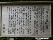 �͓��̓��̗R��