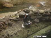 �܂����������ρH