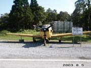 ���q����n�O��